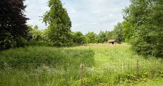 von_poll_real_estate_property_25183040_image_6