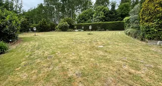 von_poll_real_estate_property_25183045_image_4