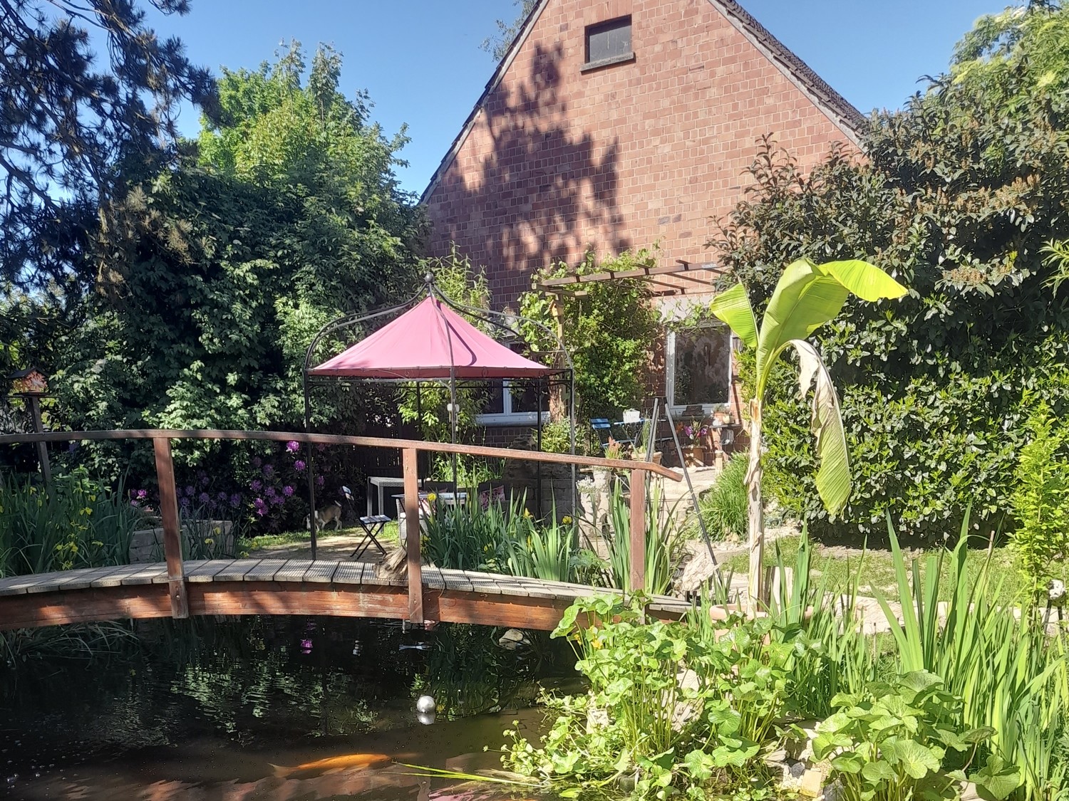 Garten/ Teich