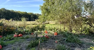 von_poll_real_estate_property_25183067_image_3