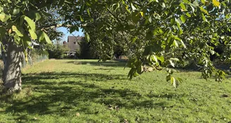 von_poll_real_estate_property_25183067_image_4