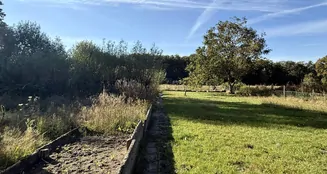 von_poll_real_estate_property_25183067_image_2