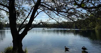 von_poll_real_estate_property_25183067_image_6