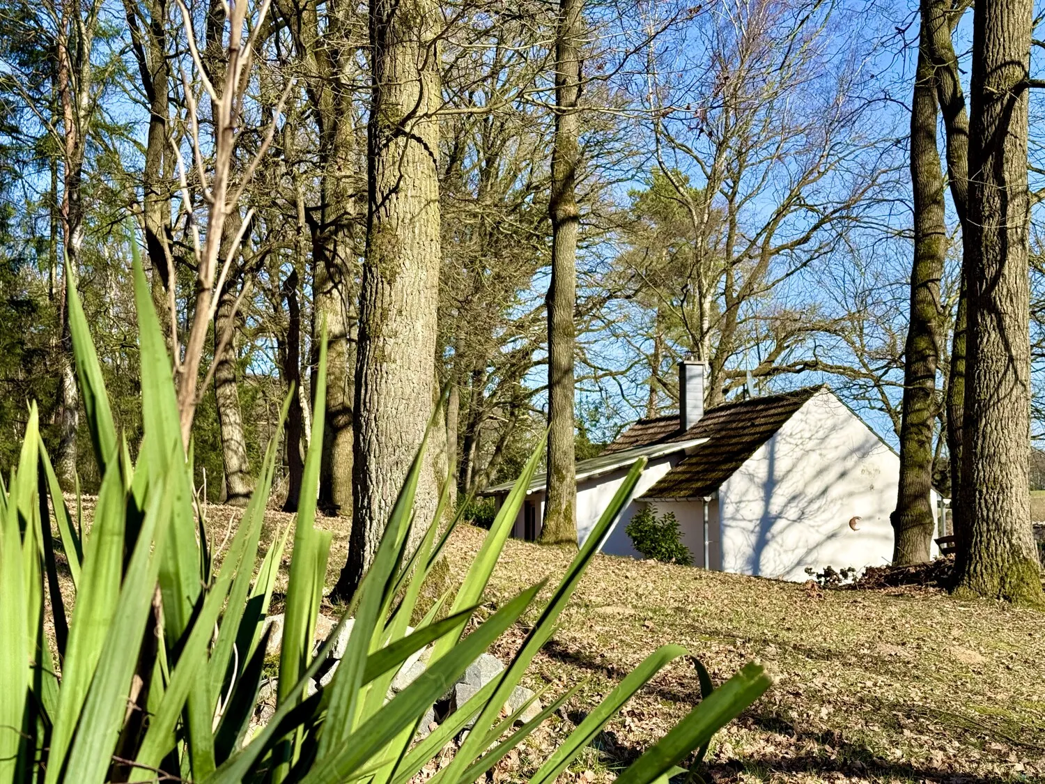 Hausansicht Nordwestlich