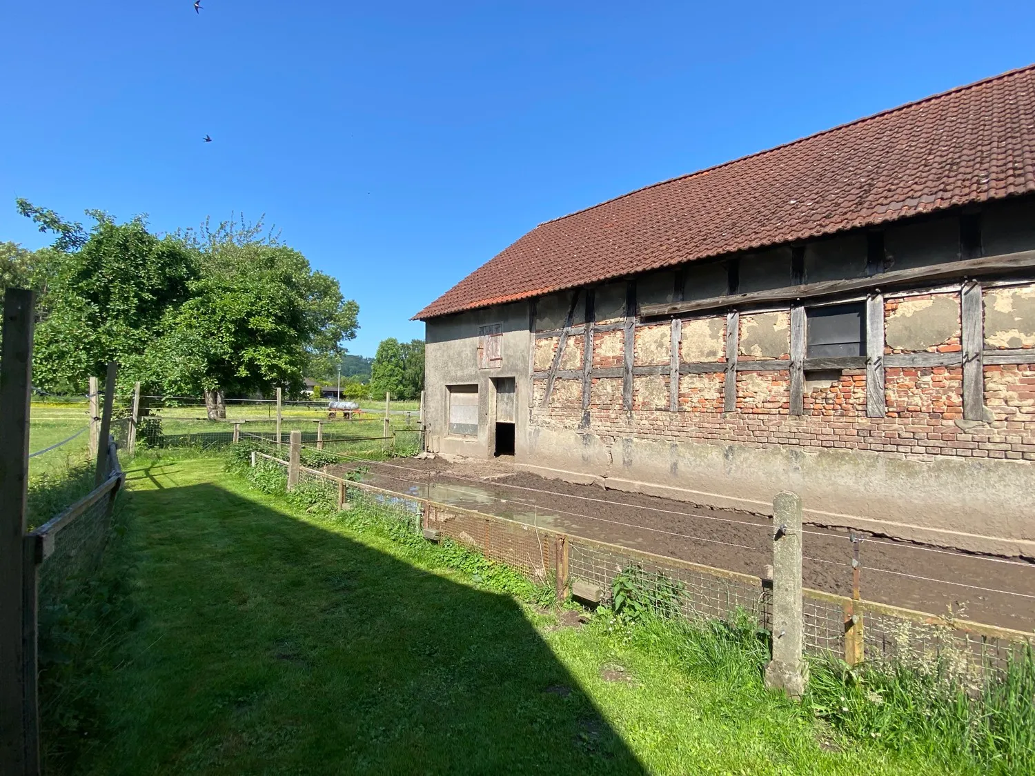 Stall und Auslauf