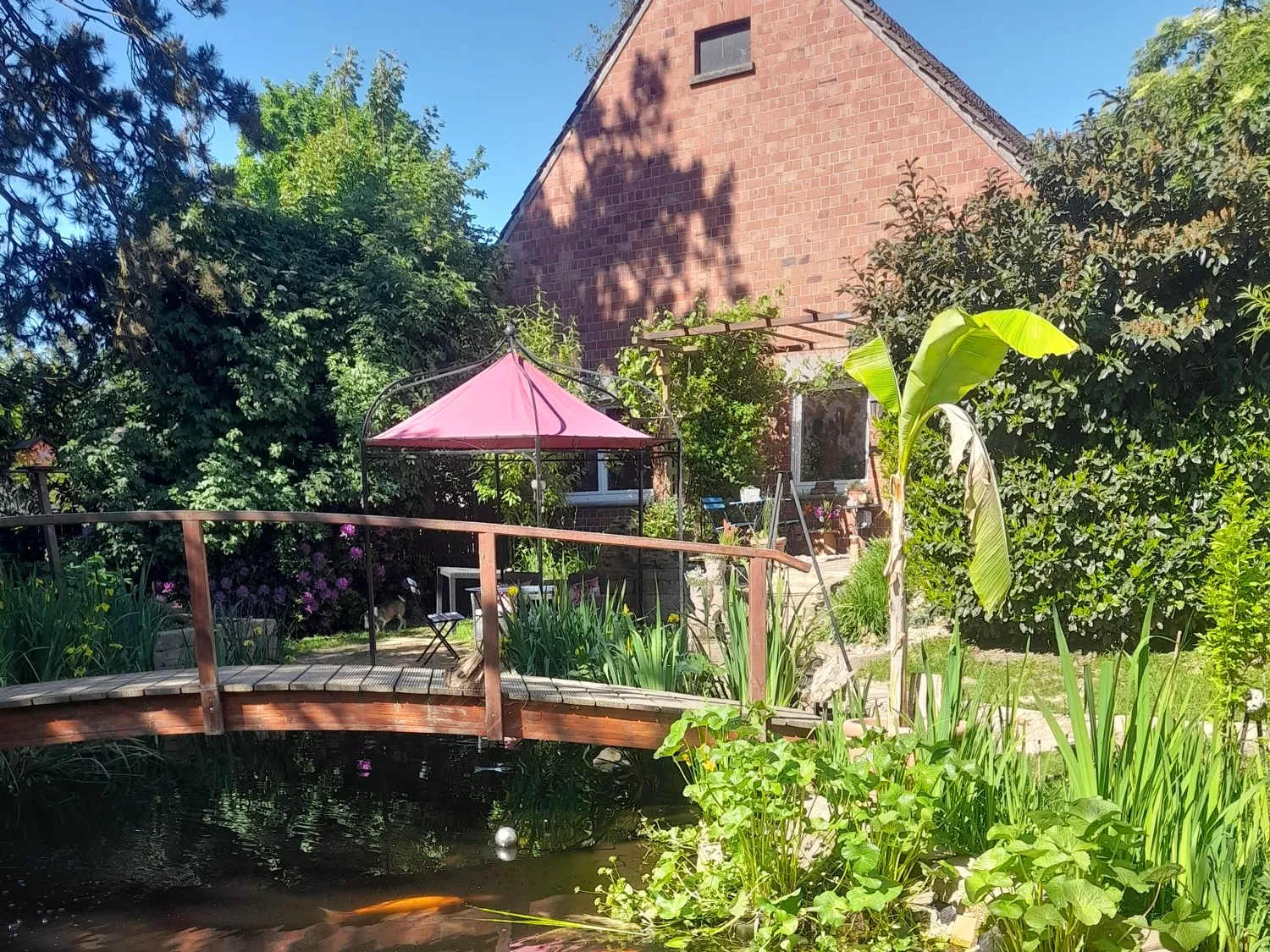 Garten/ Teich