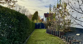 von_poll_real_estate_property_26183013_image_15