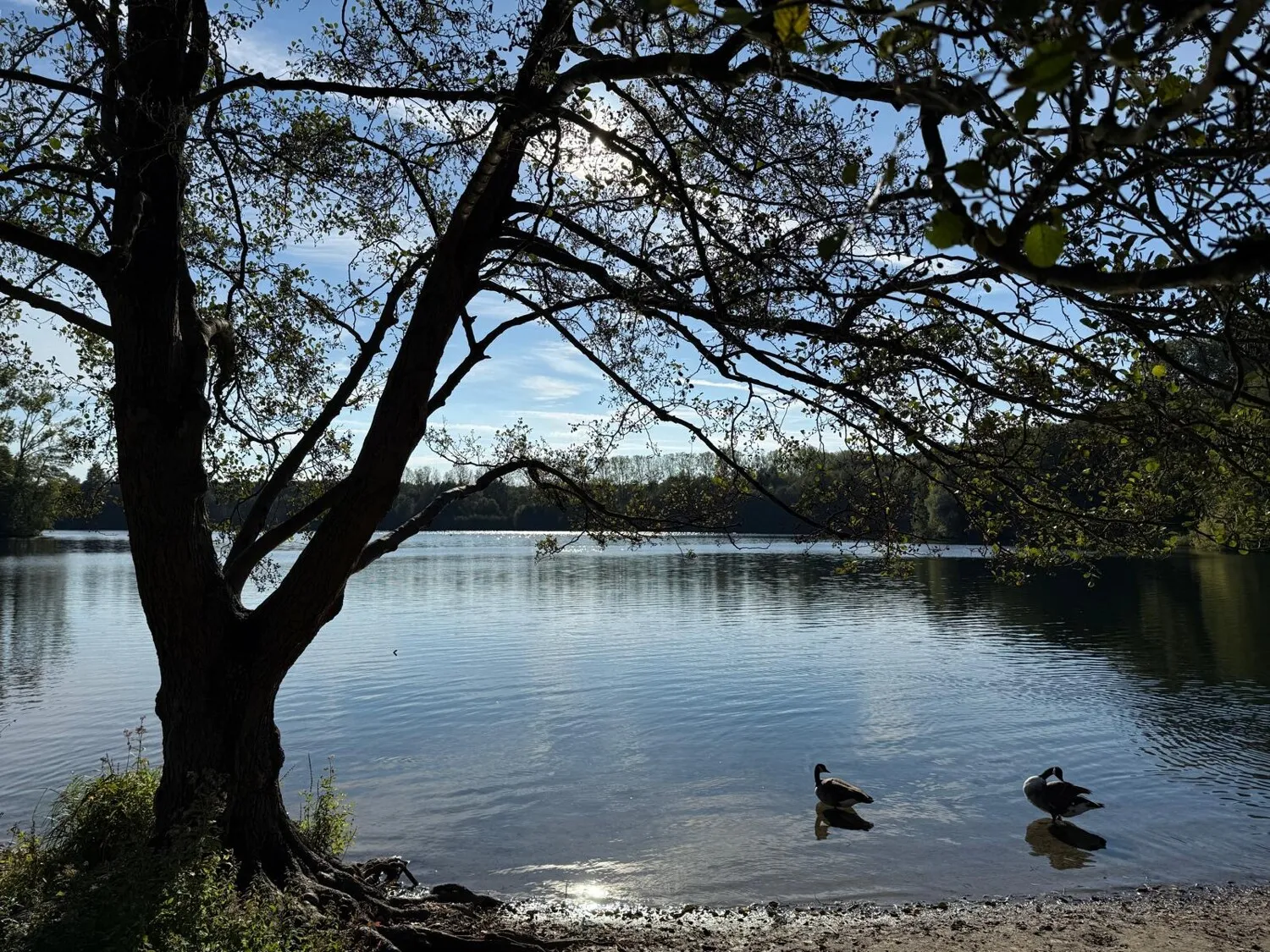 Rubbenbruchsee