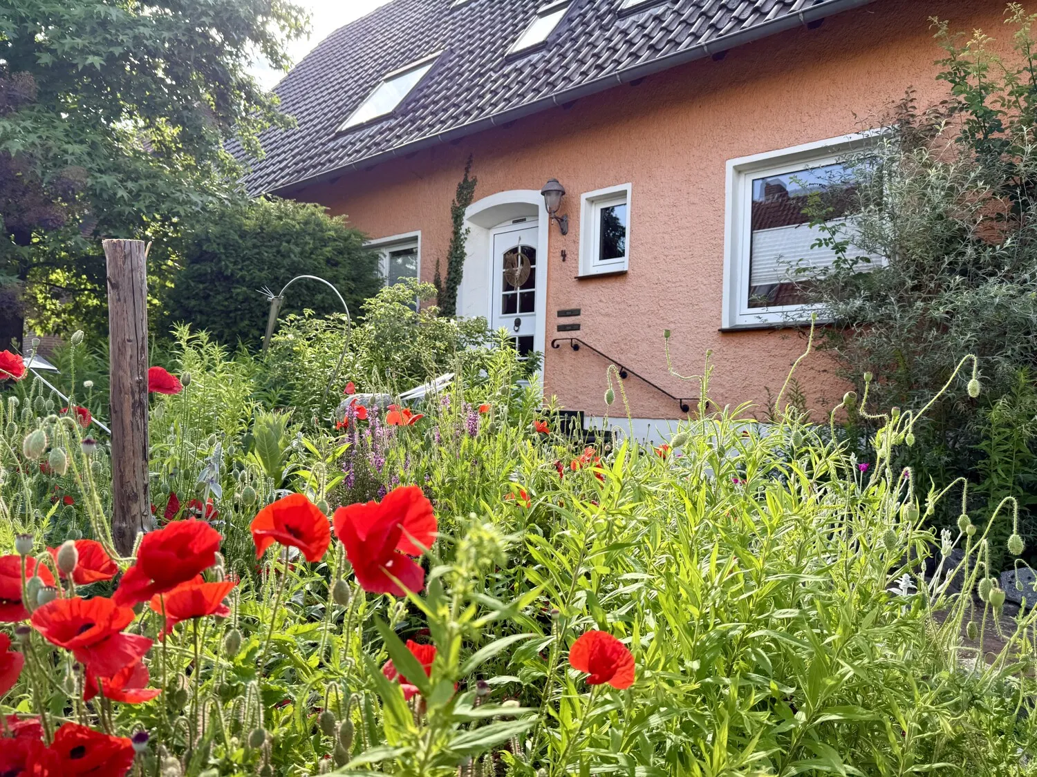 Straßenansicht