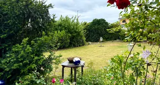 von_poll_real_estate_property_25183035_image_4