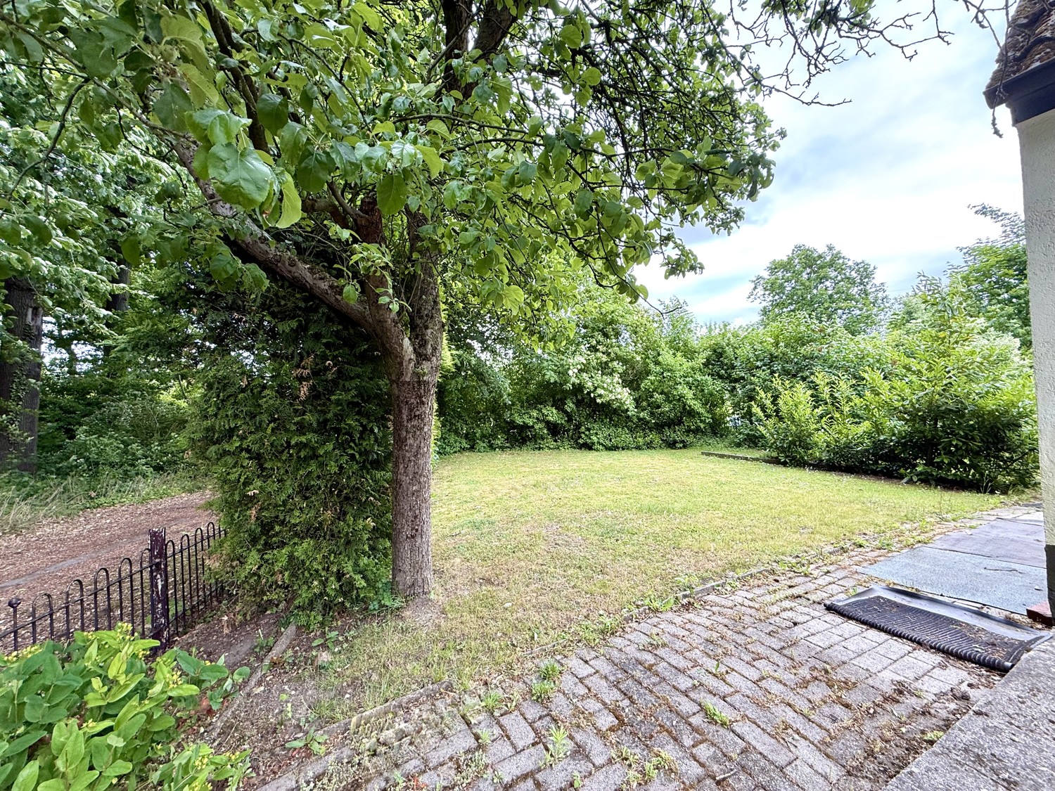 Kleiner Garten