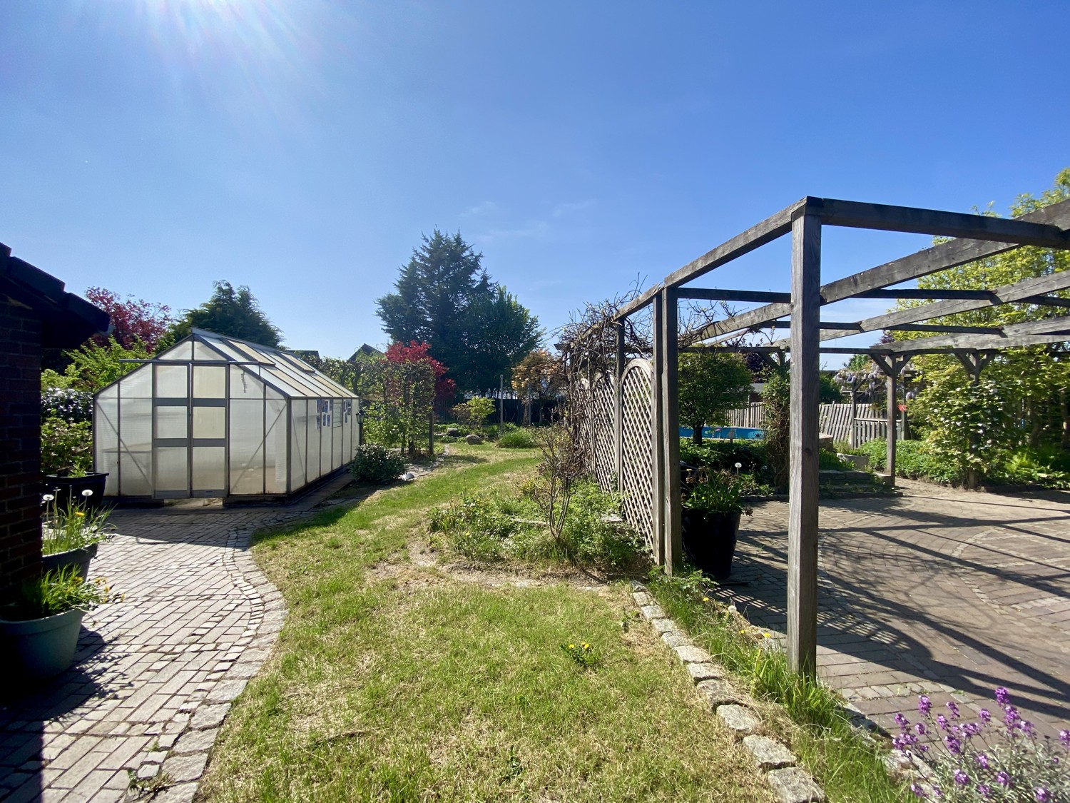 Gewächshaus. und Terrasse
