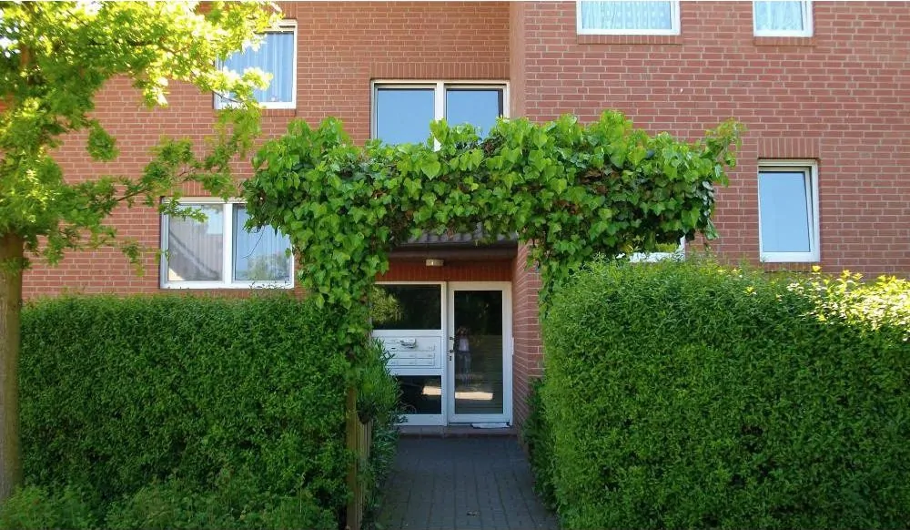 Titelbild mit Rahmen neu, Fellensiek