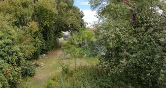 von_poll_real_estate_property_25064024_image_10