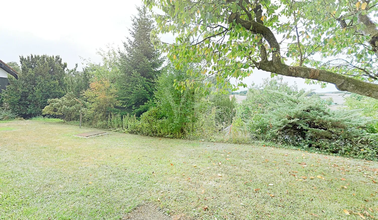 Ausblick Küchenterrasse Erdgeschoss