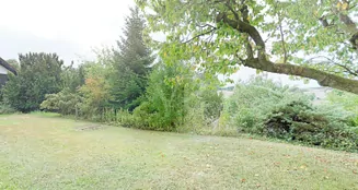 von_poll_real_estate_property_25064025_image_10