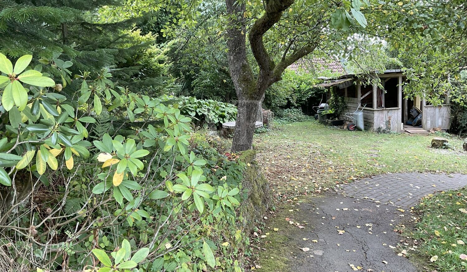 Garten