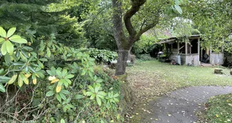 von_poll_real_estate_property_25064025_image_21