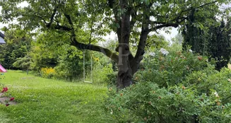 von_poll_real_estate_property_25064025_image_4