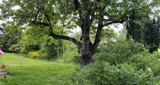 von_poll_real_estate_property_25064025_image_4