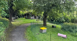 von_poll_real_estate_property_25064025_image_23