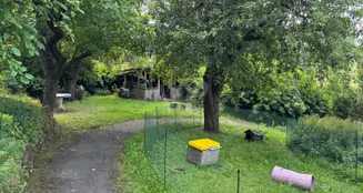 von_poll_real_estate_property_25064025_image_23