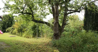 von_poll_real_estate_property_25064025_image_24