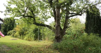 von_poll_real_estate_property_25064025_image_24