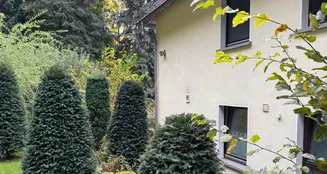 von_poll_real_estate_property_25064027_image_8