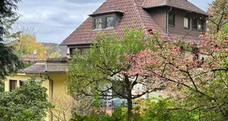 von_poll_real_estate_property_25064027_image_9