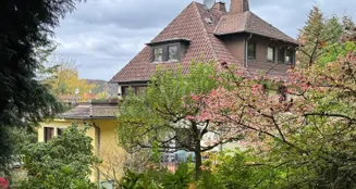 von_poll_real_estate_property_25064027_image_9