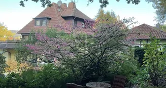 von_poll_real_estate_property_25064027_image_10