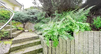 von_poll_real_estate_property_25064064_image_8