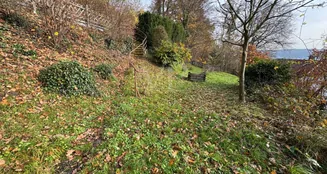 von_poll_real_estate_property_25064065_image_8