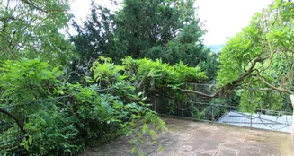 von_poll_real_estate_property_25064028_image_9