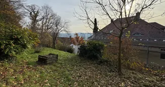 von_poll_real_estate_property_25064069_image_17