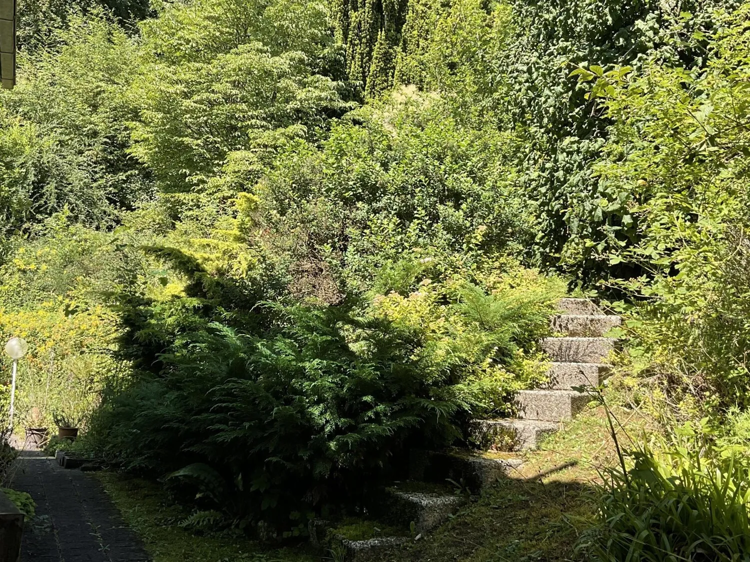 Garten