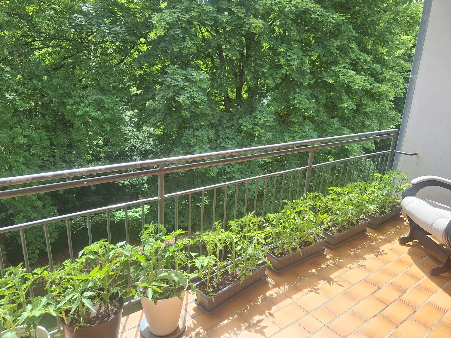 Balkon