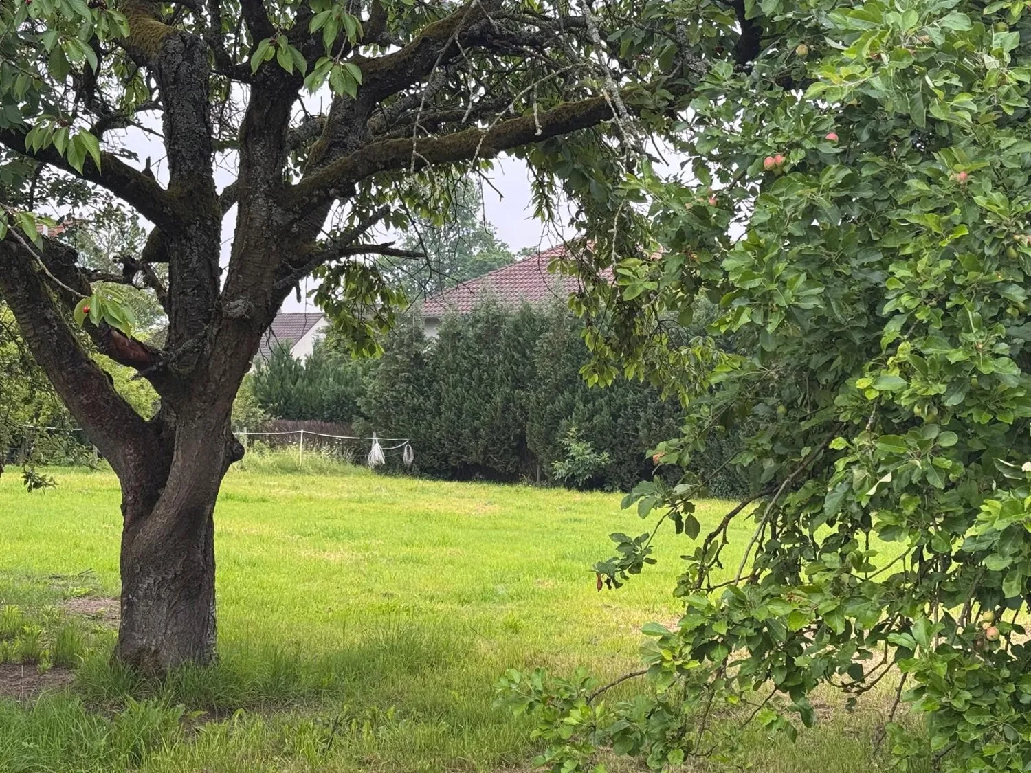 Grundstück