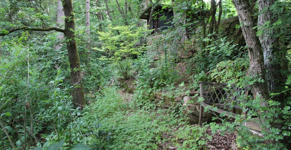 Garten / Hang zum Wald