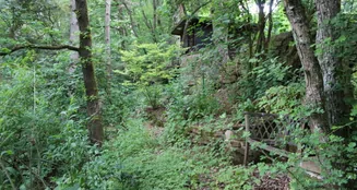 von_poll_real_estate_property_23064016A_image_5