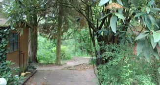 von_poll_real_estate_property_23064016A_image_6