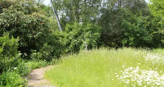 von_poll_real_estate_property_23064016A_image_9