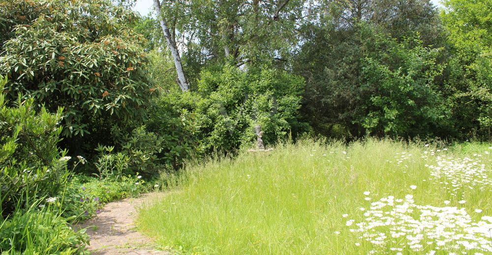Ausblick in Garten
