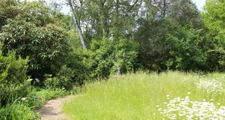 von_poll_real_estate_property_23064016A_image_9