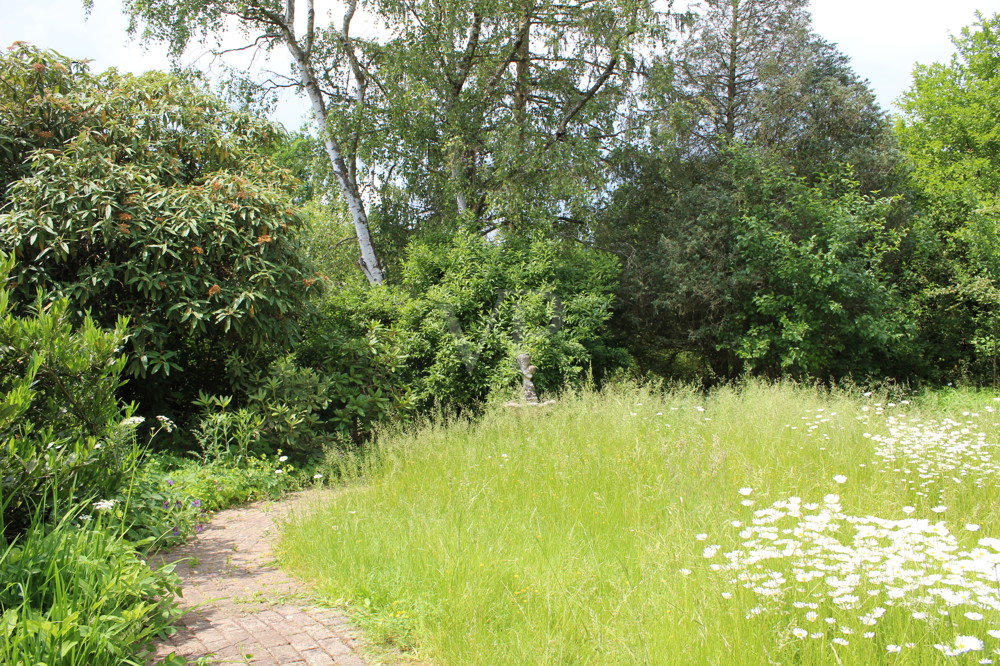 Ausblick in Garten