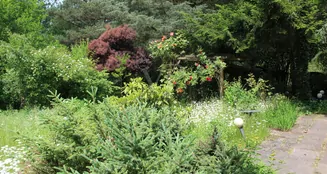 von_poll_real_estate_property_23064016A_image_7