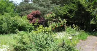 von_poll_real_estate_property_23064016A_image_7