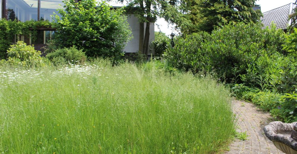 Ansicht von Garten