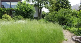 von_poll_real_estate_property_23064016A_image_8